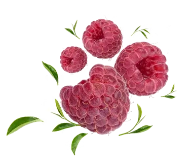 Ashwagandha Chill Spritz – Raspberry Thorne 24er Tray (24 x 330ml)-5