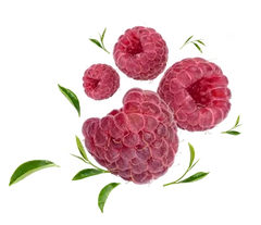 Ashwagandha Chill Spritz – Raspberry Thorne 24er Tray (24 x 330ml)-5