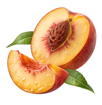 Ashwagandha Chill Spritz – Dark Peach 24er Tray (24 x 330ml)-4
